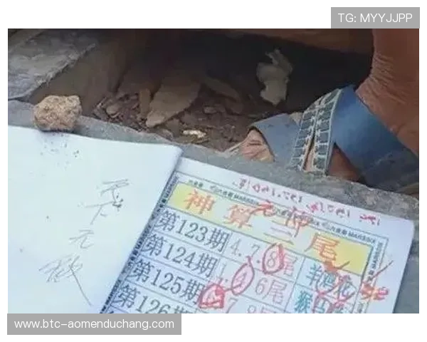 六合彩官方手机版最新上线，随时随地轻松掌握开奖信息与中奖机会