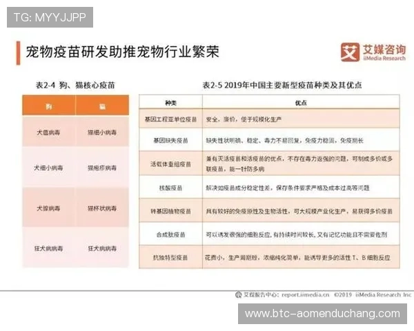 ag视讯促销活动全面解析让你的每一次投资都物超所值