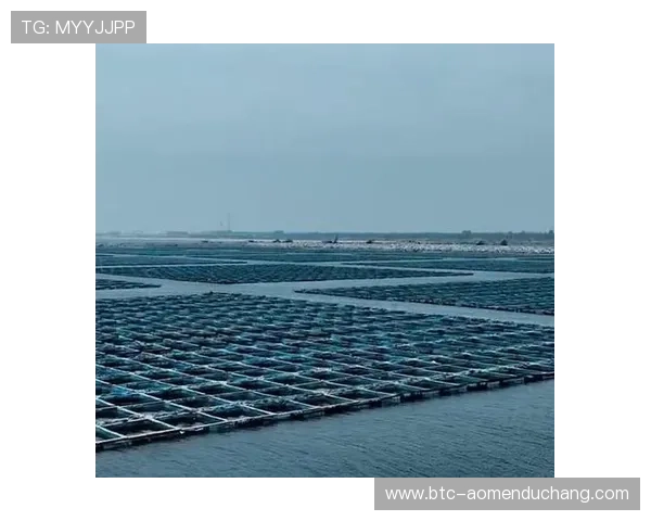 掌握叶汉三株路技巧的方法，科学规划提升农业生产效率