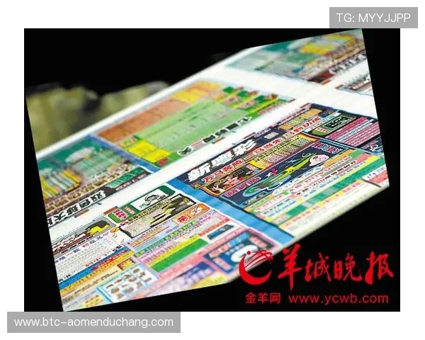 加拿大对瑞士网络赌球风险分析与应对策略详解关注世界杯期间网络赌球的潜在危害与防范措施